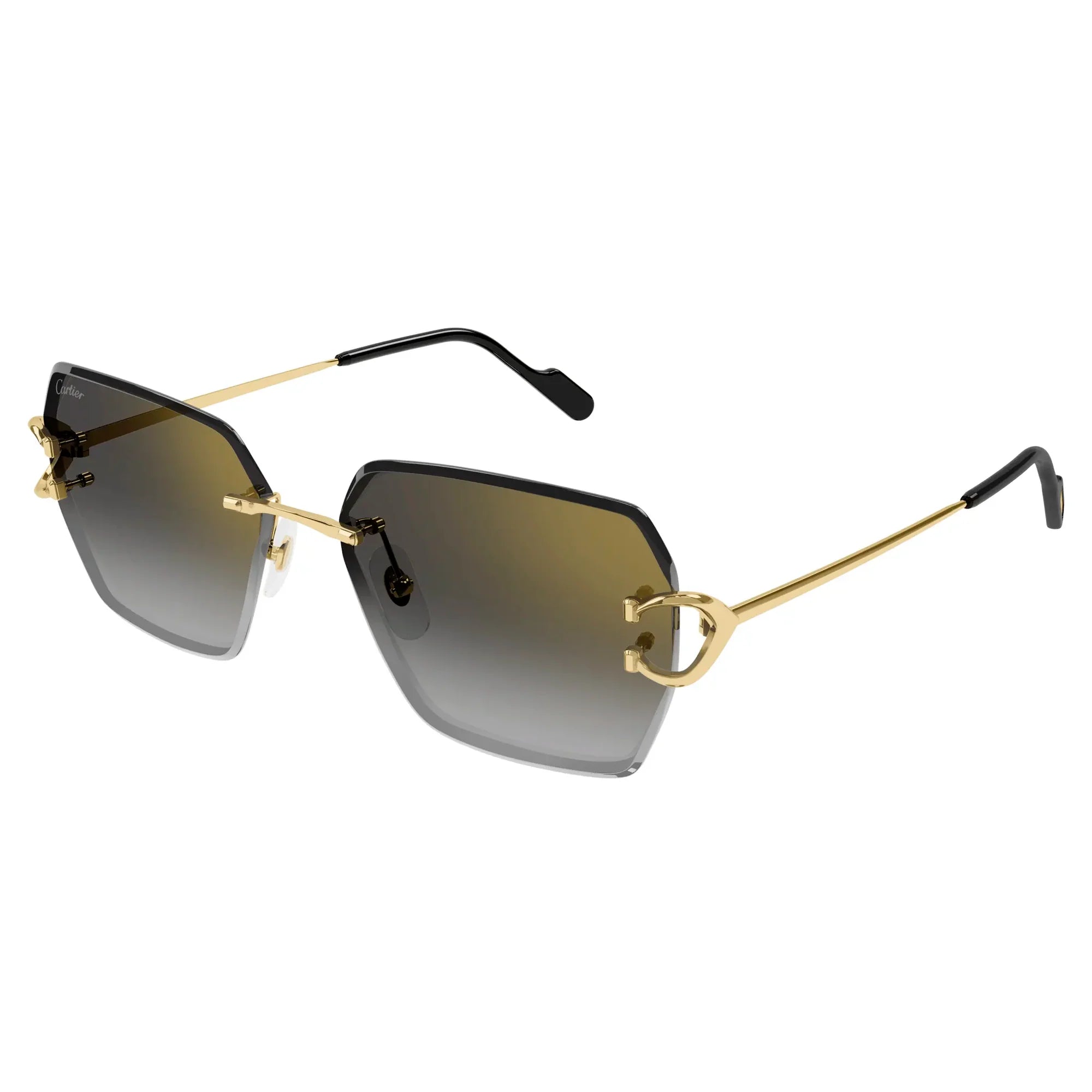 CT0466S-001 Gold Grey Sunglasses